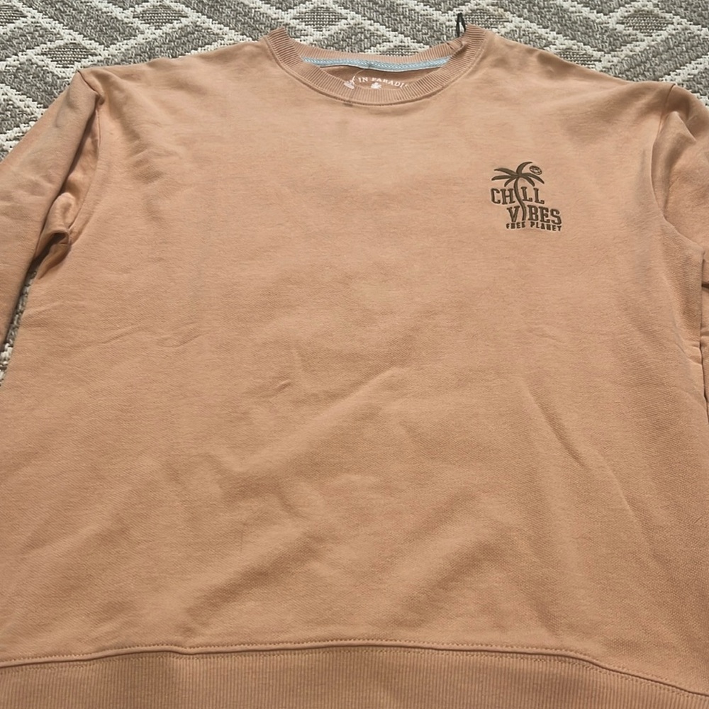 Free Planet Men’s Medium “Chill Vibes” thin sweatshirt. Embroidered design